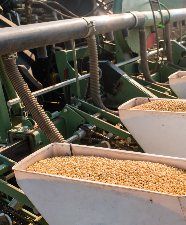 Nasiona w&nbsp;maszynie do&nbsp;siewu