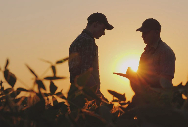 dwóch rolników na&nbsp;polu w&nbsp;tle zachodzącego słońca