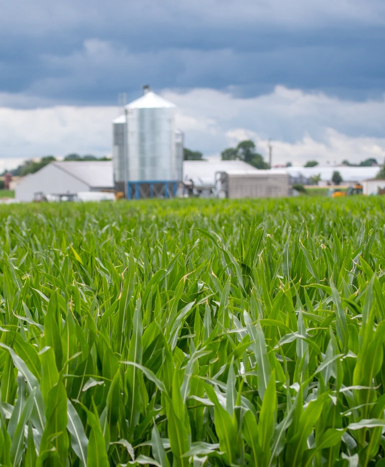 Pole i&nbsp;gospodarstwo rolne